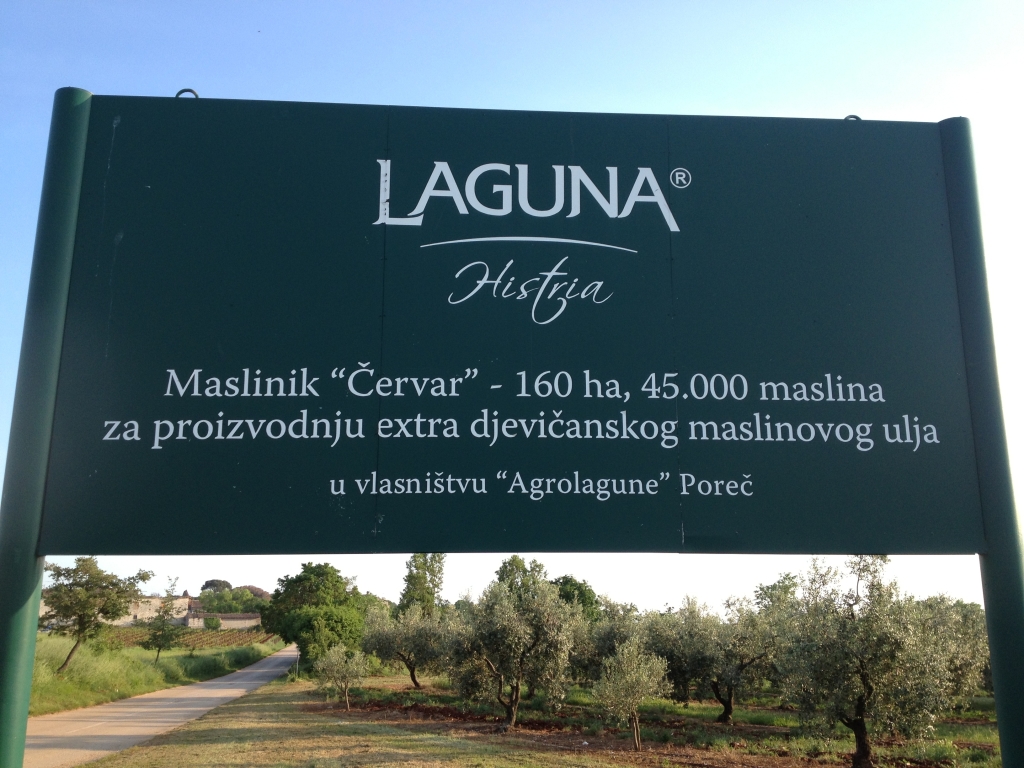 Laguna 1